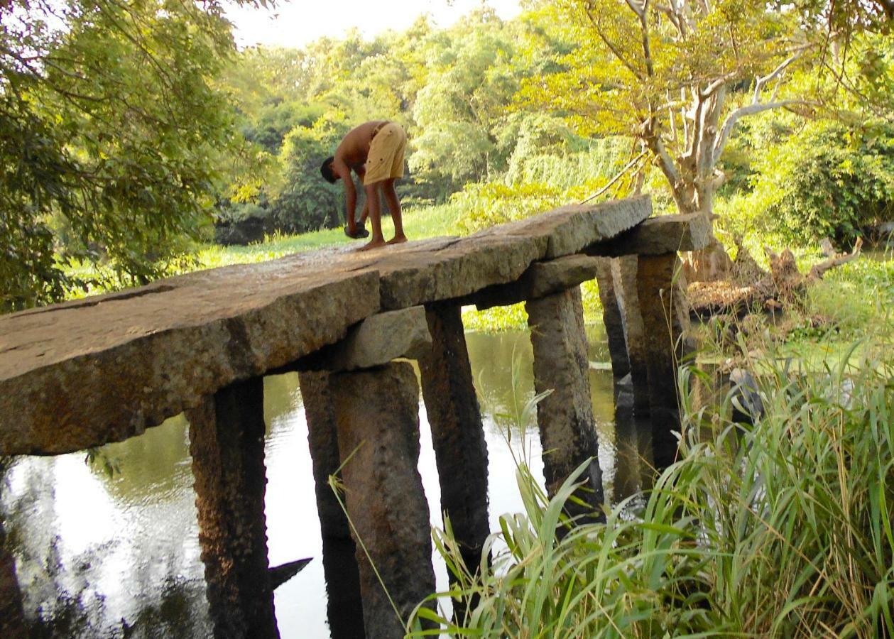 Homestay Camping Anuradhapura Buitenkant foto
