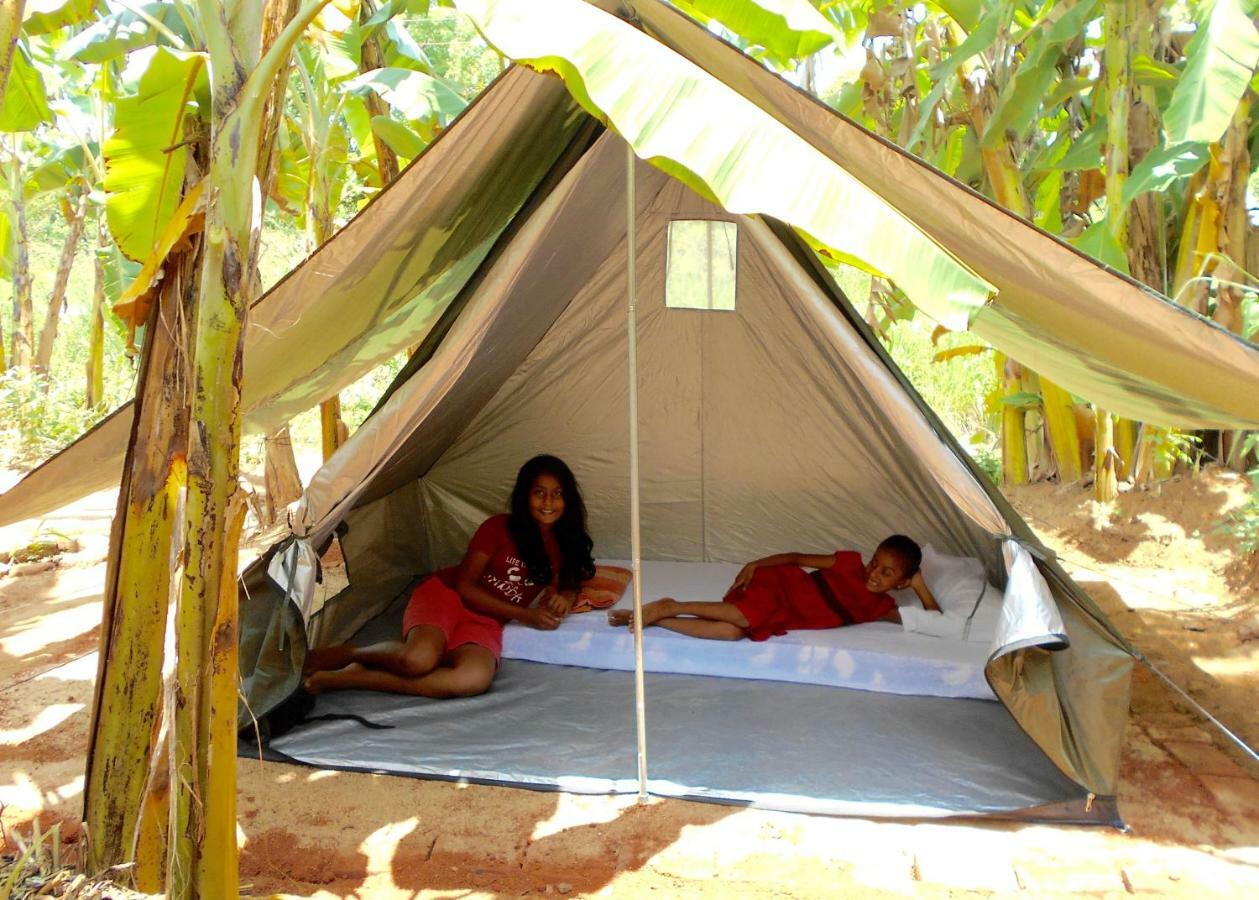 Homestay Camping Anuradhapura Buitenkant foto