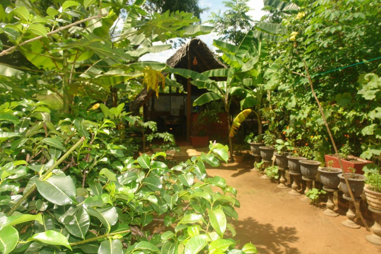 Homestay Camping Anuradhapura Buitenkant foto